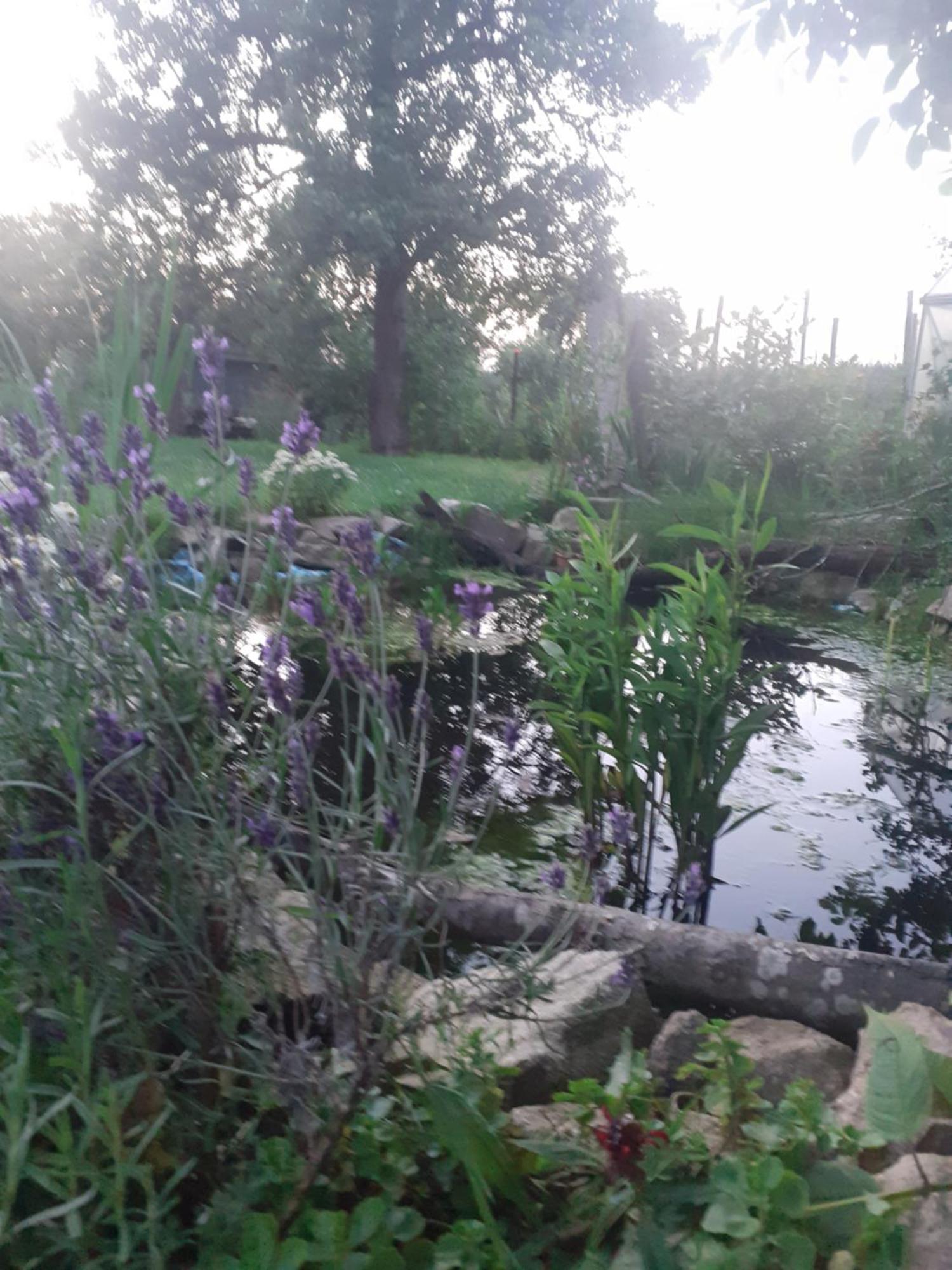 Ceska Kanada *